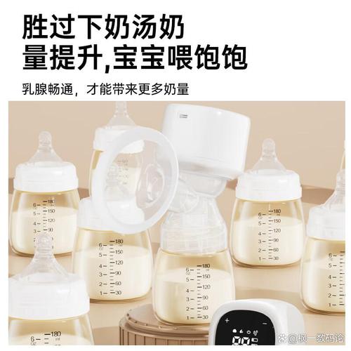 「電動吸奶器推薦」2026年高性價比電動吸奶器十大品牌排行榜,哪個